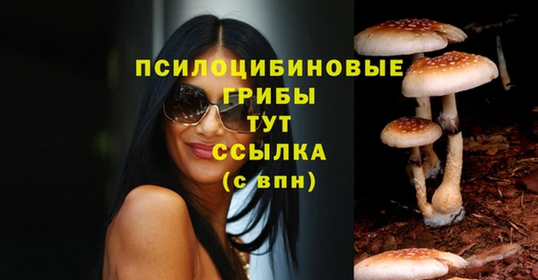 хмурый Карталы