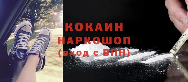 прущие грибы Карпинск
