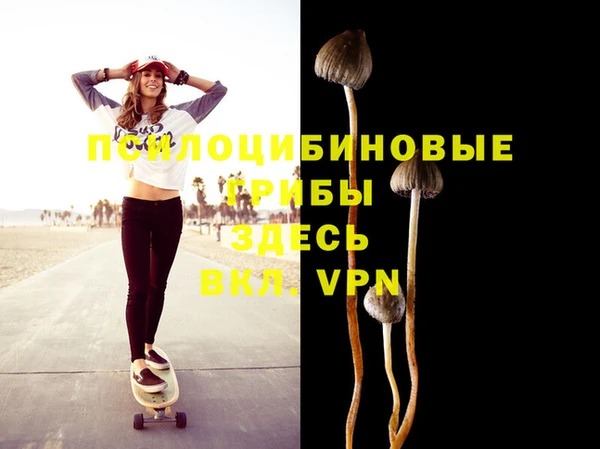 стафф Кинешма