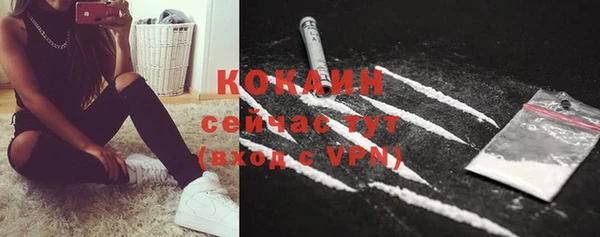 стафф Кинешма