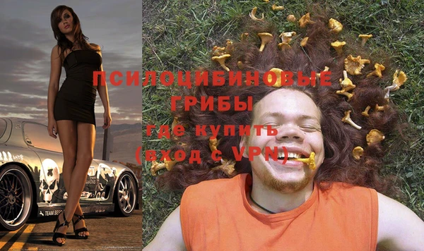 стафф Кинешма