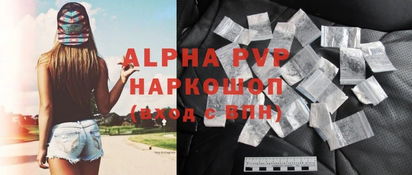 прущие грибы Карпинск