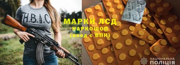прущие грибы Карпинск