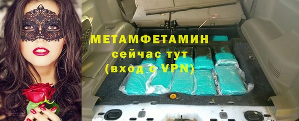 прущие грибы Карпинск