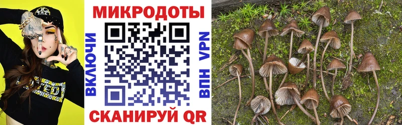Галлюциногенные грибы ЛСД  Купить где  Омск 